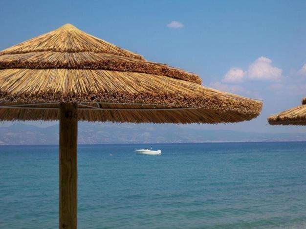 Marzi Beach And Bungalows Hotel Kokkonion ภายนอก รูปภาพ